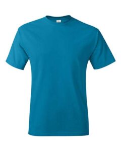 Hanes 5250 Authentic