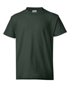 Hanes 5370 EcoSmart