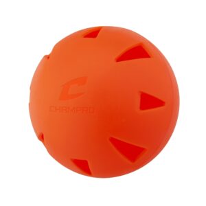 Brute Training Poly Ball-Bulk