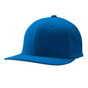 Custom MVP Fitted Cap
