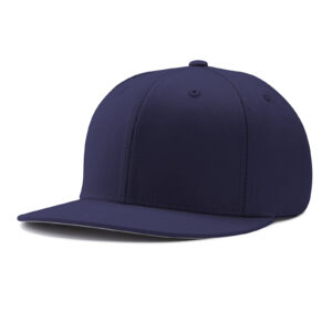 Custom Pennant Snapback